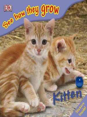 cover image of Kitten